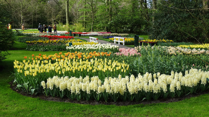 2014_04120934 - Keukenhof 2014 - 2