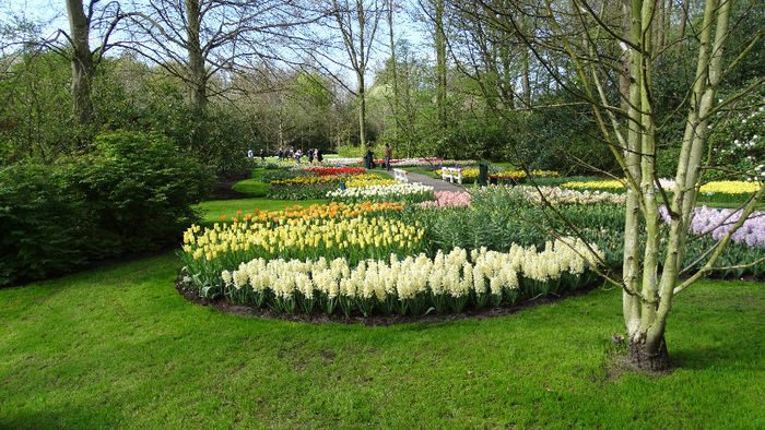 2014_04120935 - Keukenhof 2014 - 2