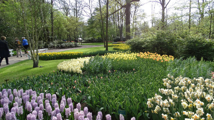 2014_04120940 - Keukenhof 2014 - 2