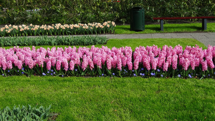 2014_04120976
