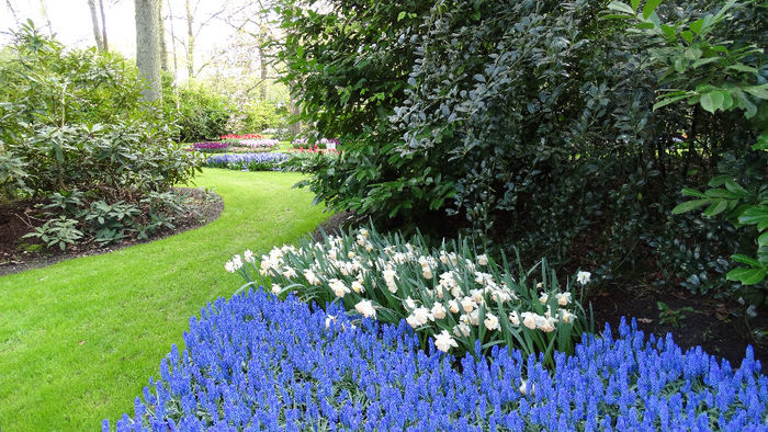 2014_04121006 - Keukenhof 2014 - 2