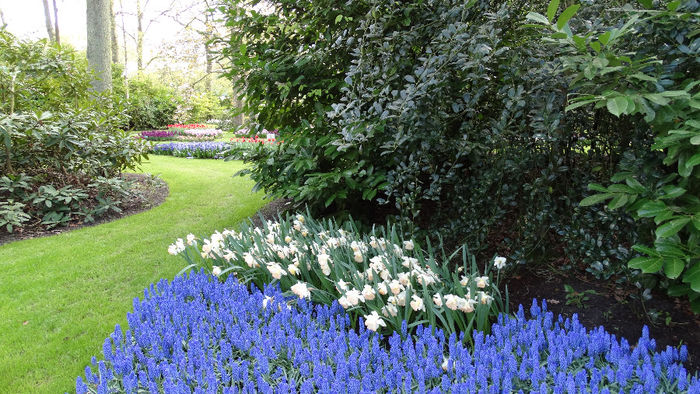 2014_04121007 - Keukenhof 2014 - 2
