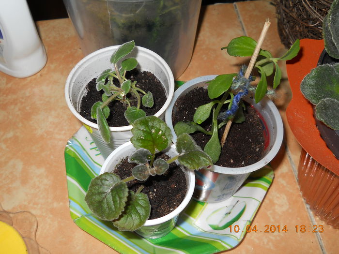 026 - APRILIE 2014