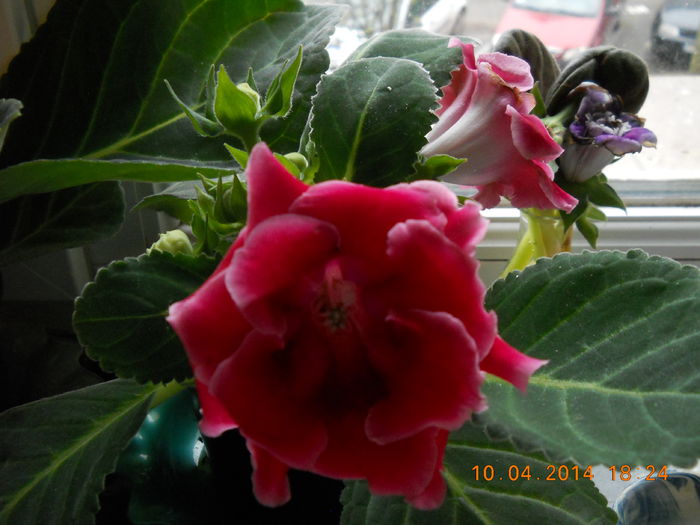 030 - APRILIE 2014