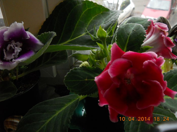 031 - APRILIE 2014