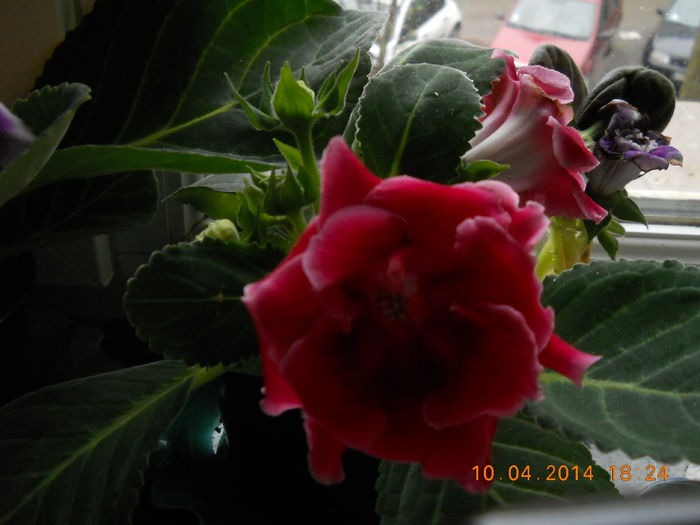 032 - APRILIE 2014