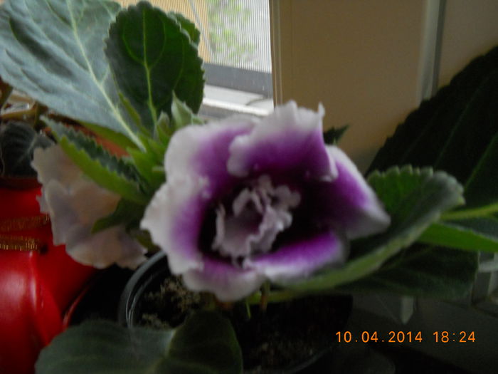 033 - APRILIE 2014