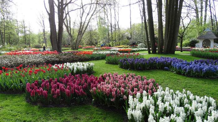 2014_04121042 - Keukenhof 2014 - 3