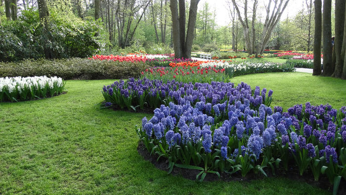 2014_04121045 - Keukenhof 2014 - 3