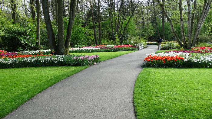 2014_04121051 - Keukenhof 2014 - 3