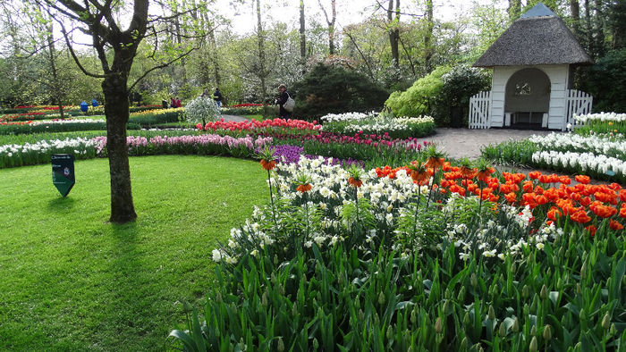 2014_04121052 - Keukenhof 2014 - 3