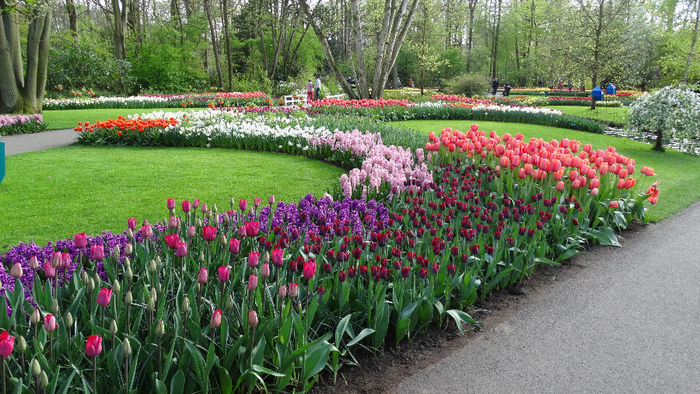 2014_04121057 - Keukenhof 2014 - 3