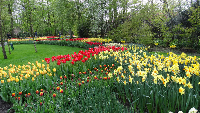 2014_04121074 - Keukenhof 2014 - 3