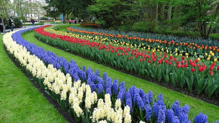 2014_04121080 - Keukenhof 2014 - 3