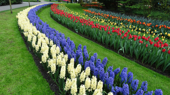2014_04121084 - Keukenhof 2014 - 3
