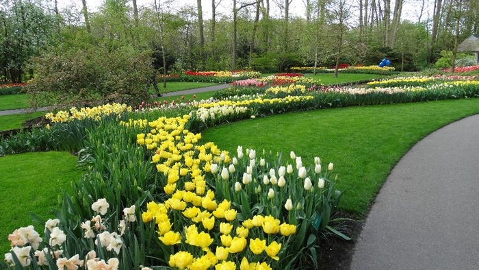 2014_04121086 - Keukenhof 2014 - 3