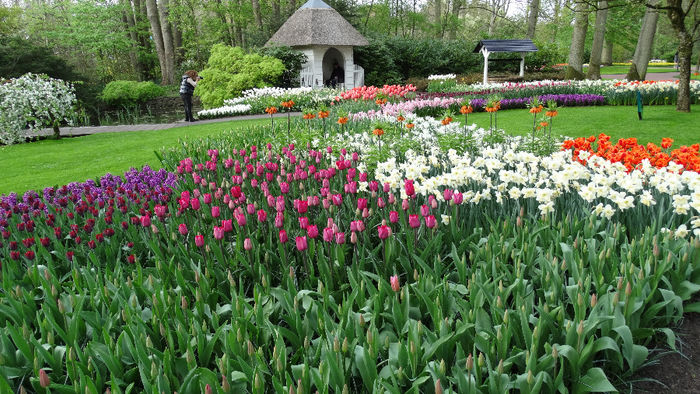 2014_04121089 - Keukenhof 2014 - 3