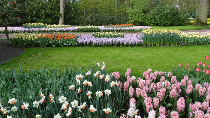 2014_04121094 - Keukenhof 2014 - 3