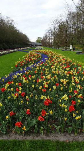 2014_04121097 - Keukenhof 2014 - 3