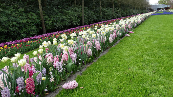 2014_04121100 - Keukenhof 2014 - 3
