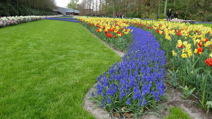 2014_04121101 - Keukenhof 2014 - 3