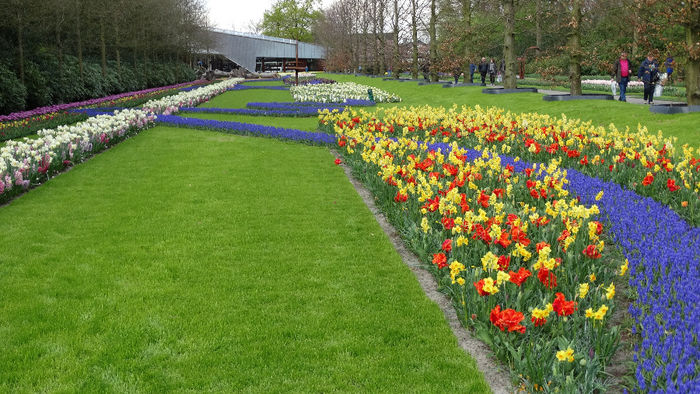 2014_04121102 - Keukenhof 2014 - 3