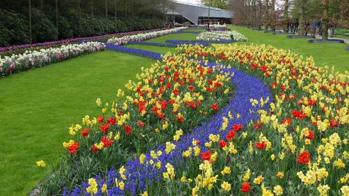 2014_04121103 - Keukenhof 2014 - 3