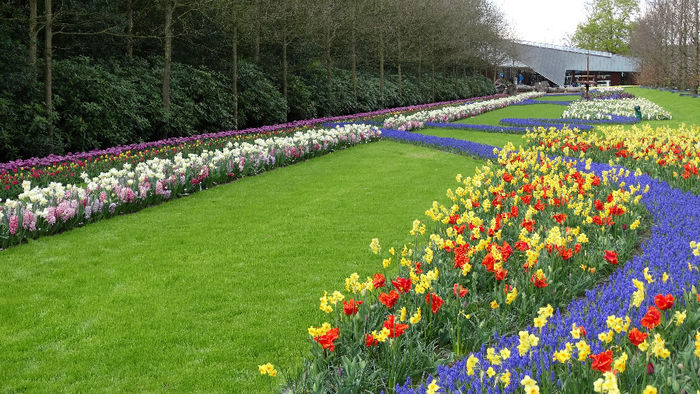 2014_04121104 - Keukenhof 2014 - 3