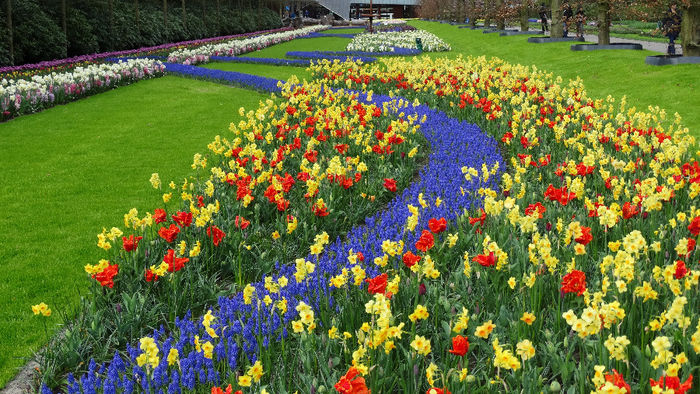 2014_04121105 - Keukenhof 2014 - 3