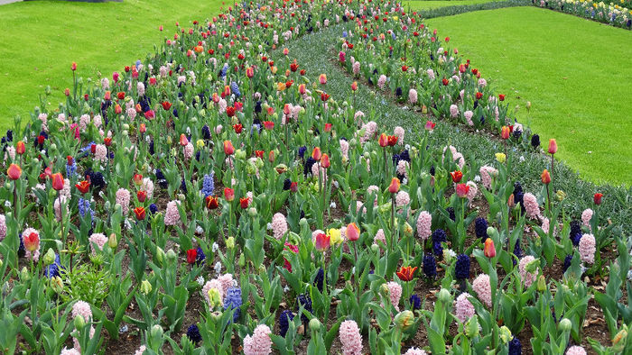 2014_04121106 - Keukenhof 2014 - 3