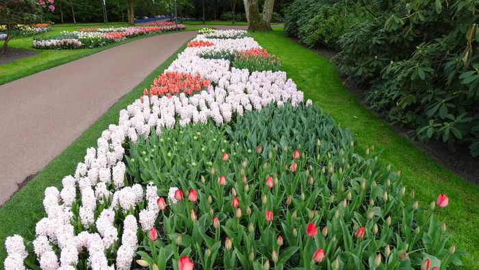 2014_04121108 - Keukenhof 2014 - 3