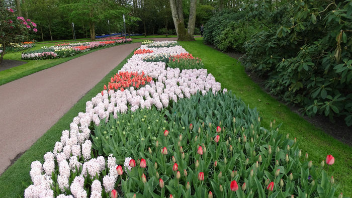 2014_04121109 - Keukenhof 2014 - 3