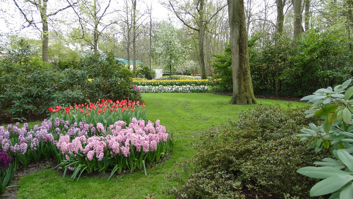 2014_04121111 - Keukenhof 2014 - 3