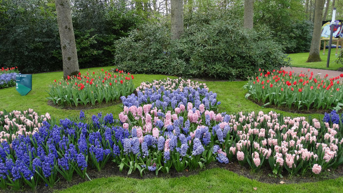 2014_04121115 - Keukenhof 2014 - 3