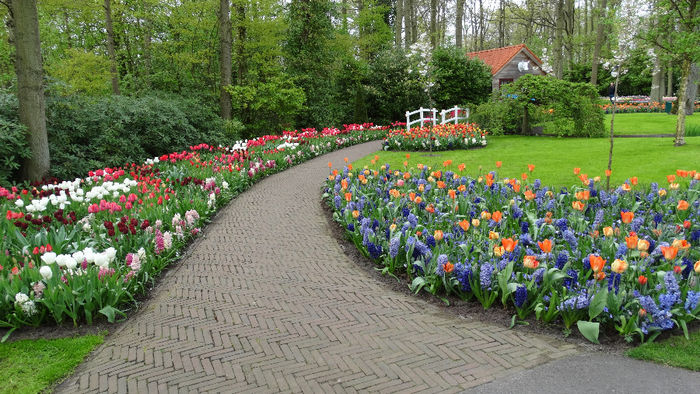 2014_04121117 - Keukenhof 2014 - 3