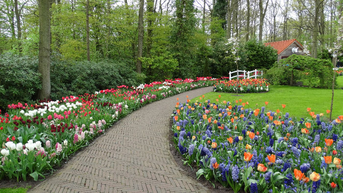 2014_04121118 - Keukenhof 2014 - 3