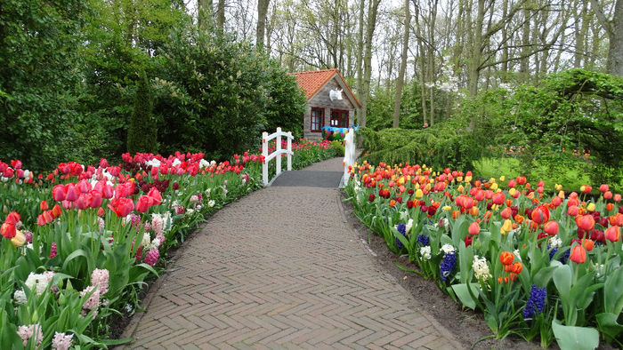 2014_04121119 - Keukenhof 2014 - 3