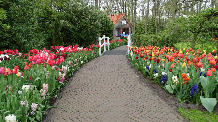 2014_04121120 - Keukenhof 2014 - 3