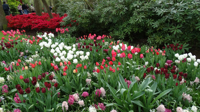 2014_04121121 - Keukenhof 2014 - 3