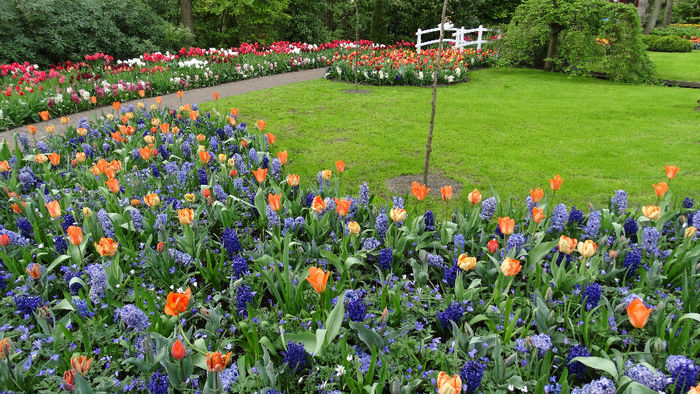 2014_04121122 - Keukenhof 2014 - 3