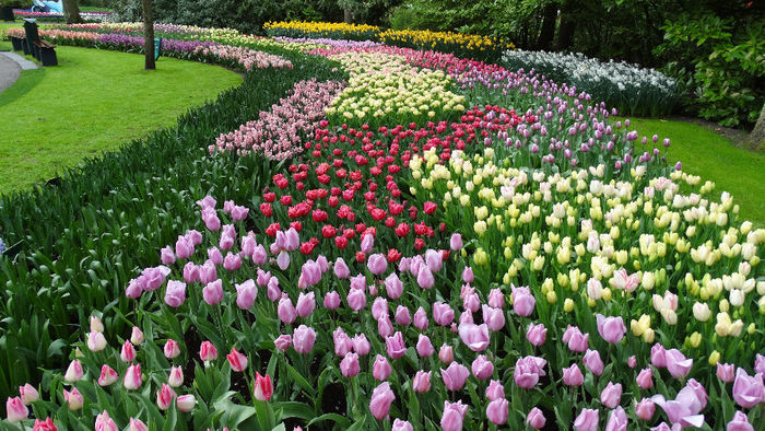 2014_04121127 - Keukenhof 2014 - 3