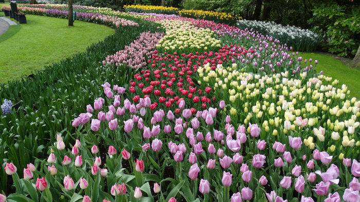 2014_04121128 - Keukenhof 2014 - 3