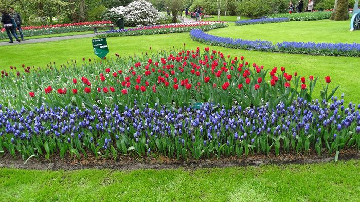 2014_04121130 - Keukenhof 2014 - 3