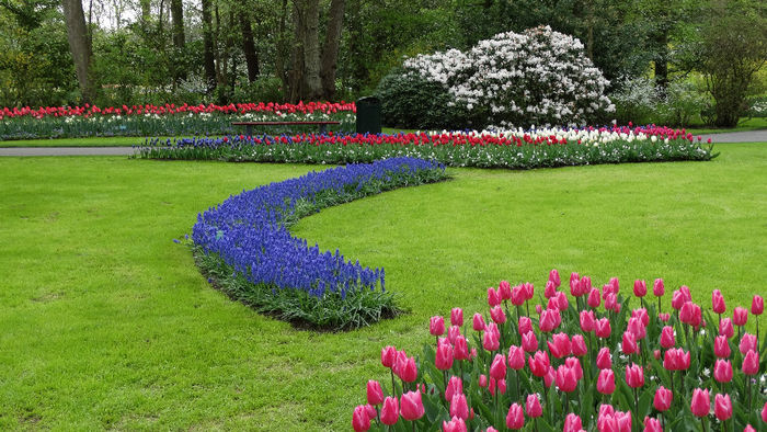 2014_04121133 - Keukenhof 2014 - 3