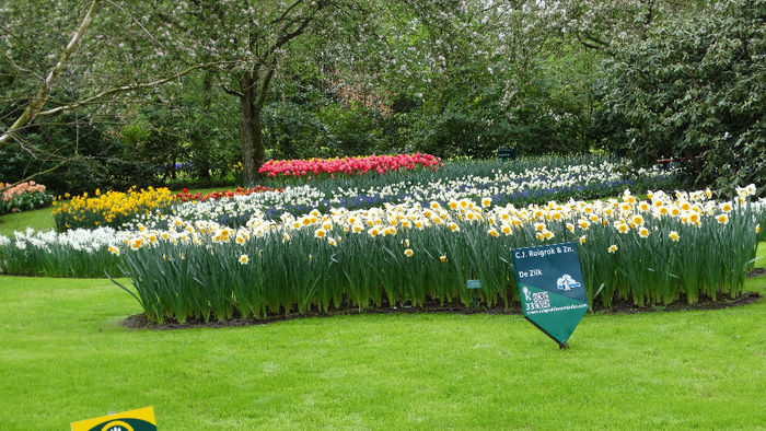 2014_04121142 - Keukenhof 2014 - 3
