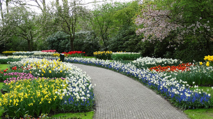 2014_04121146 - Keukenhof 2014 - 3