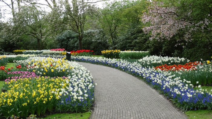 2014_04121147 - Keukenhof 2014 - 3