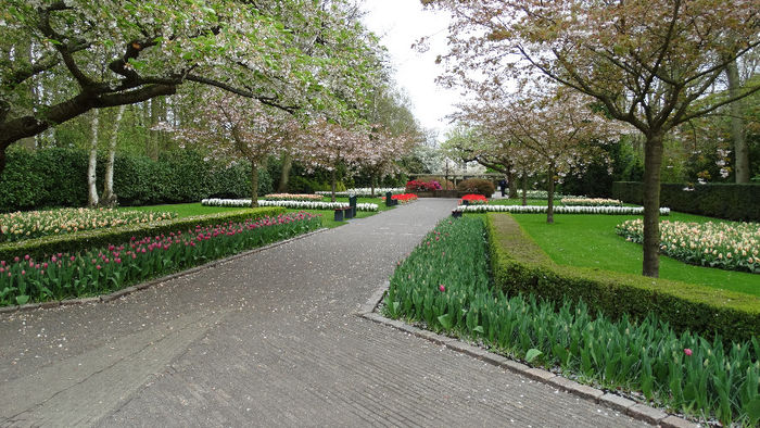 2014_04121148 - Keukenhof 2014 - 3