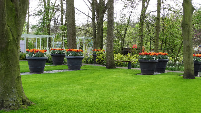 2014_04121155 - Keukenhof 2014 - 3