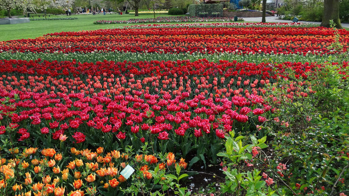 2014_04121158 - Keukenhof 2014 - 3